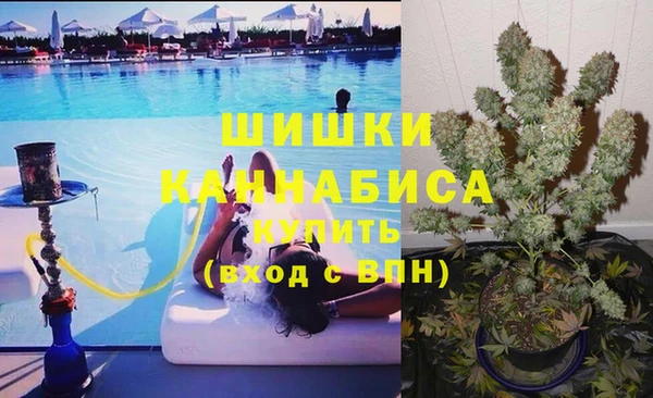 ПСИЛОЦИБИНОВЫЕ ГРИБЫ Бугульма