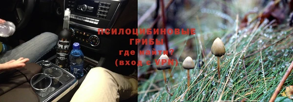 ПСИЛОЦИБИНОВЫЕ ГРИБЫ Бугульма