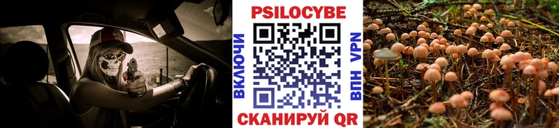 Галлюциногенные грибы мухоморы  как найти наркотики  Старица 